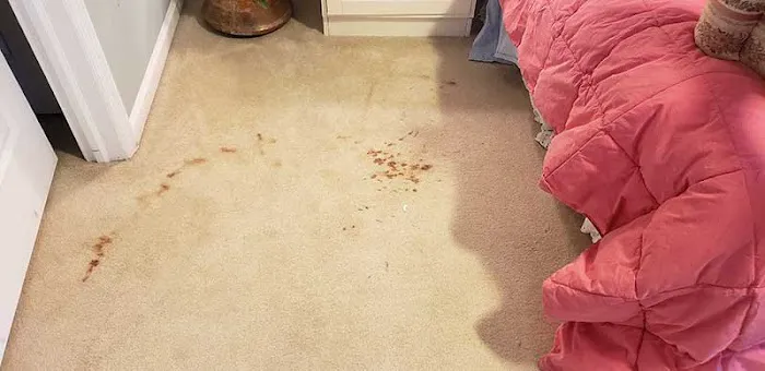 Angelo's Cleaning Conshohocken Picture 5