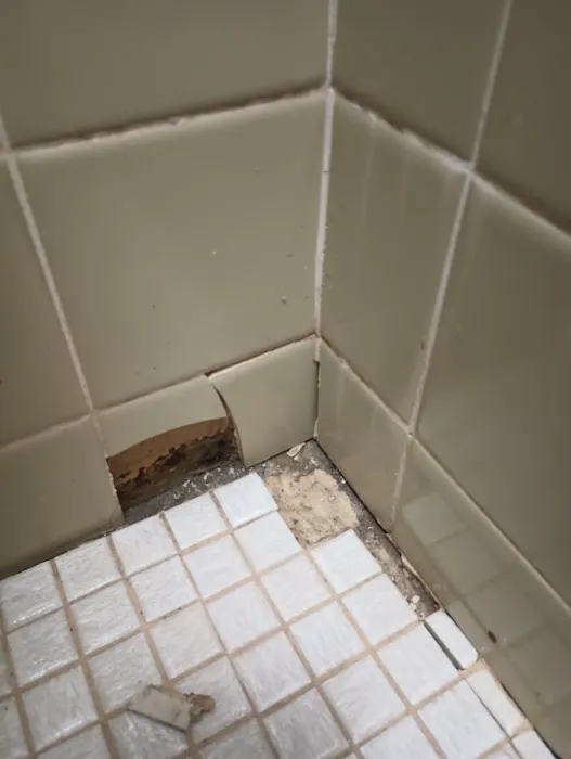 Angelo's Cleaning Conshohocken Picture 1