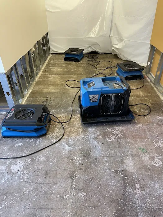 Property Recovery 911 Picture 5