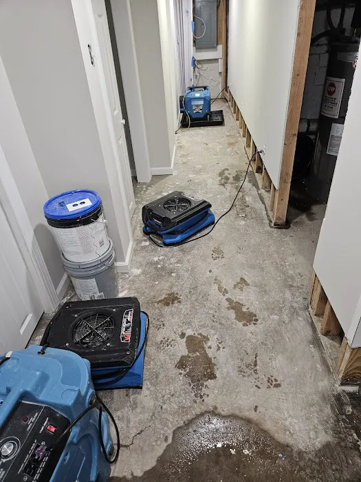 Property Recovery 911 Picture 1