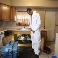 Advantage Mold Experts ico