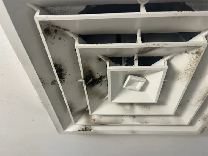 Advantage Mold Experts Picture 8