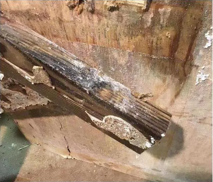 SERVPRO of Western Union County Picture 10