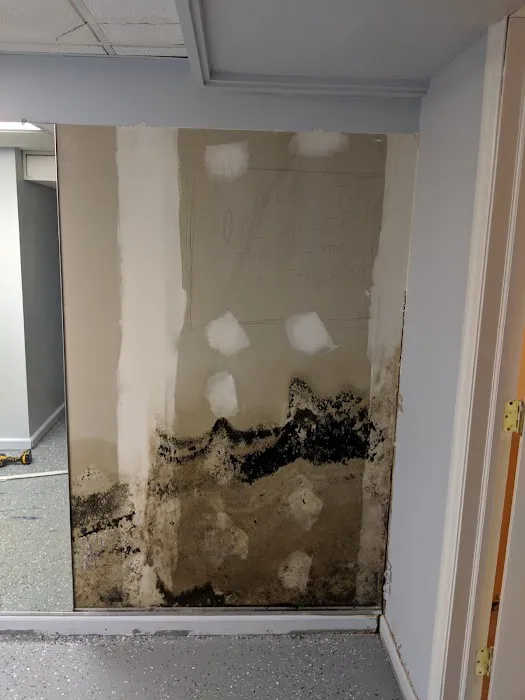 PuroClean Restoration Services Picture 3