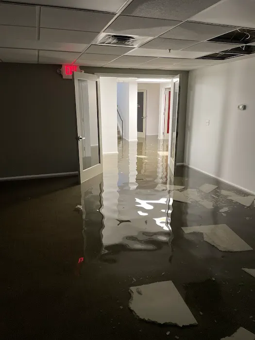 PuroClean Restoration Services Picture 1