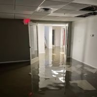 PuroClean Restoration Services ico