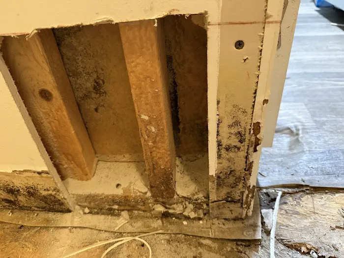 AquaXtreme LLC Picture 7