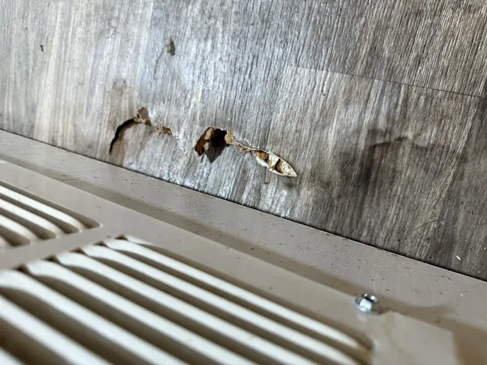 AquaXtreme LLC Picture 6