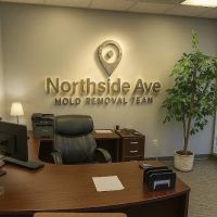Northside Ave Mold Removal Team ico