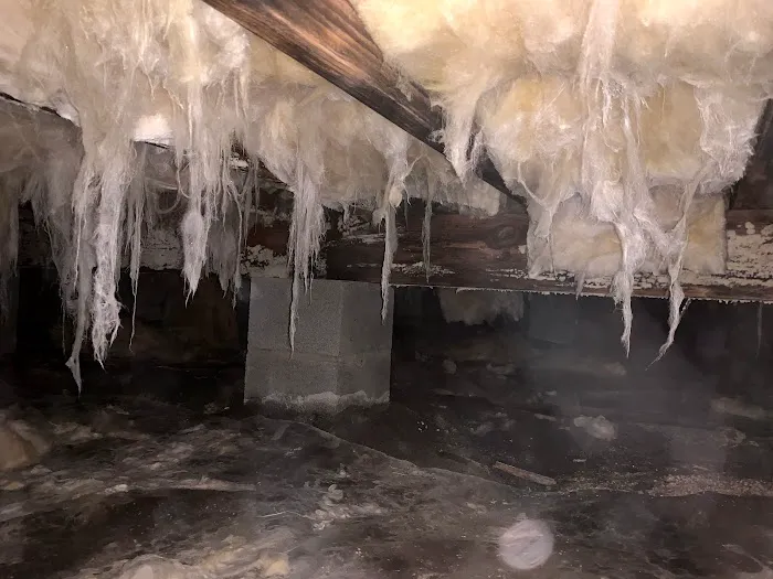 Crawlspace Medic of Richmond Picture 2