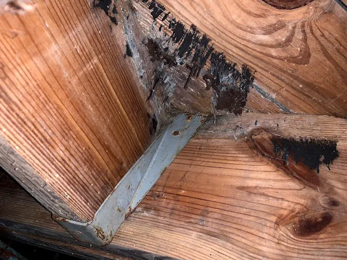 Crawlspace Medic of Richmond Picture 6