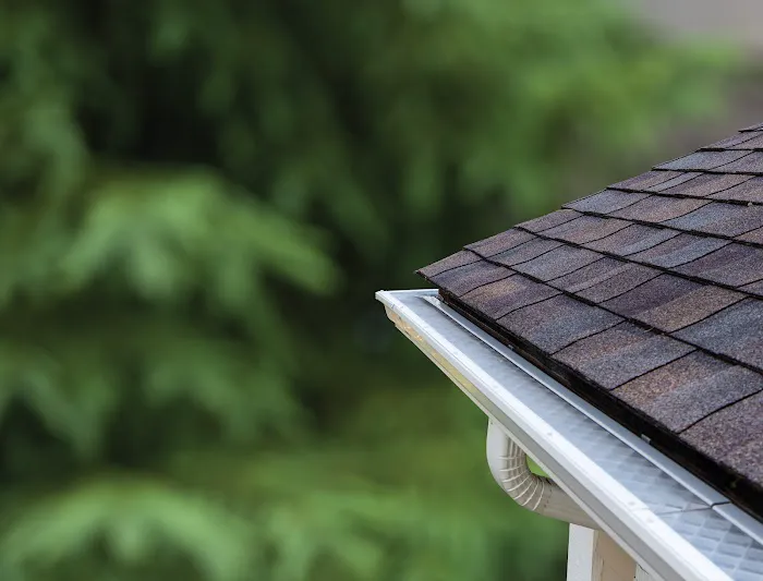 LeafFilter Gutter Protection Picture 7