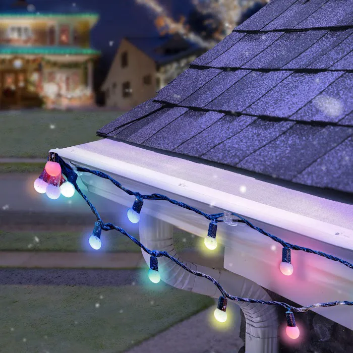 LeafFilter Gutter Protection Picture 10