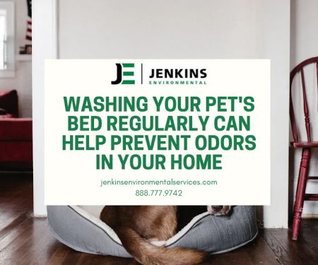 Jenkins Environmental Services
