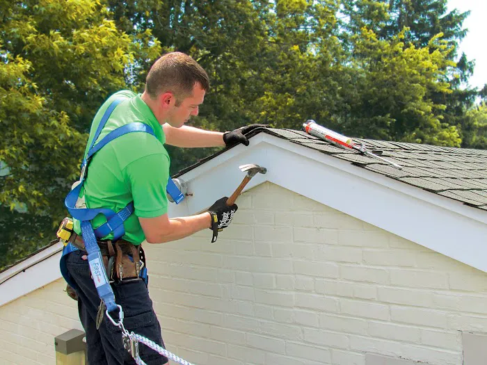 PJ Fitzpatrick Picture 9