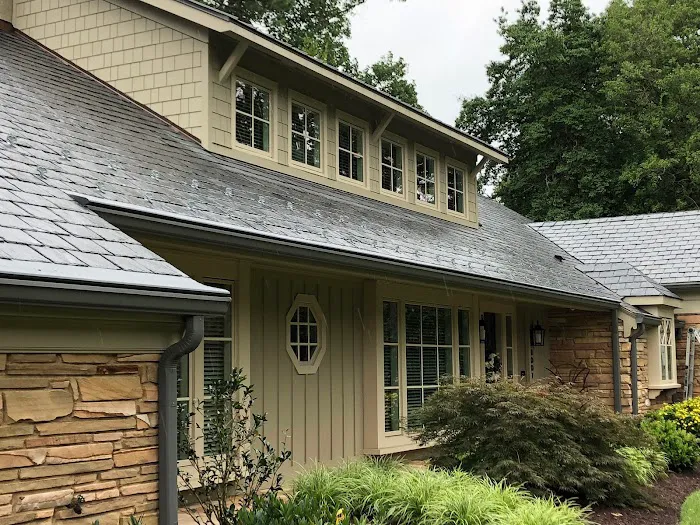 PJ Fitzpatrick Picture 6