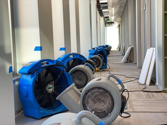 Clear: Restoration and PreDisaster Consulting Picture 5