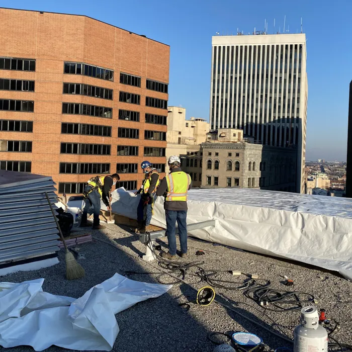 Clear: Restoration and PreDisaster Consulting Picture 9