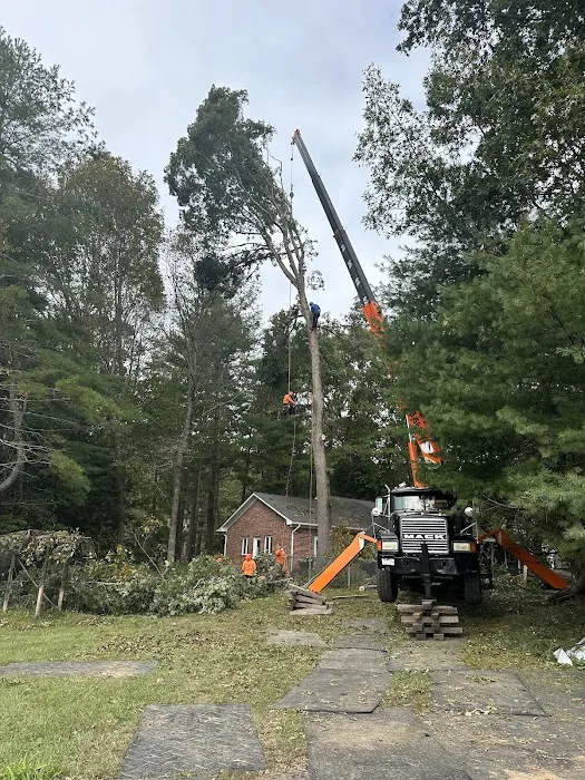 Superior Design & Restoration Picture 5