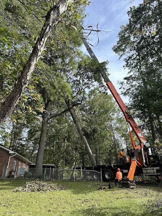 Superior Design & Restoration Picture 7