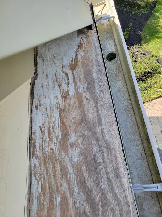 Superior Design & Restoration Picture 2