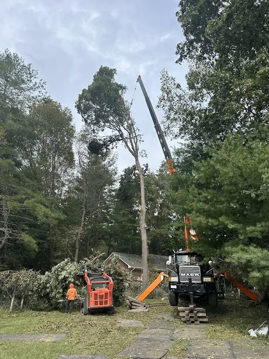 Superior Design & Restoration Picture 4