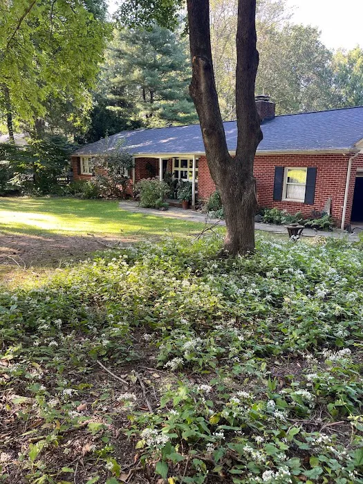 Allied Restoration Picture 7