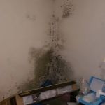 PTCC Environmental Services