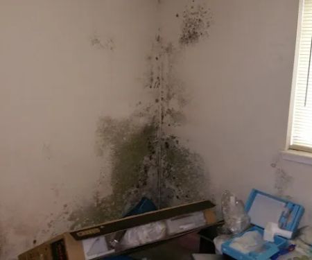 PTCC Environmental Services