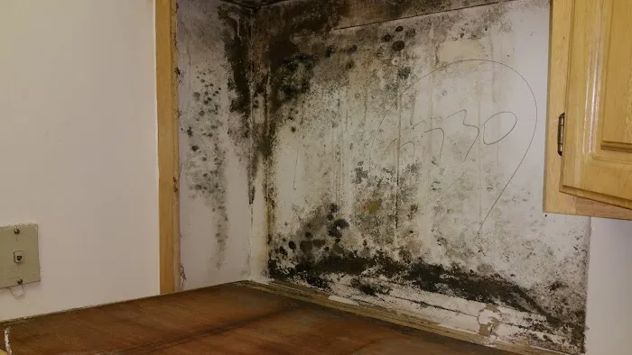 PTCC Environmental Services Picture 3