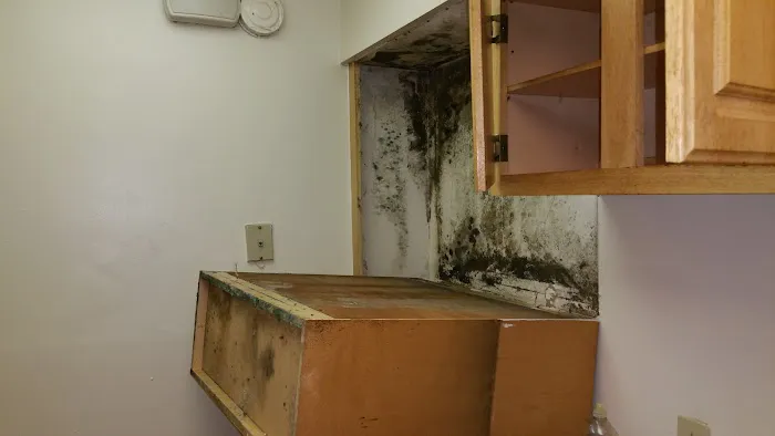 PTCC Environmental Services Picture 9