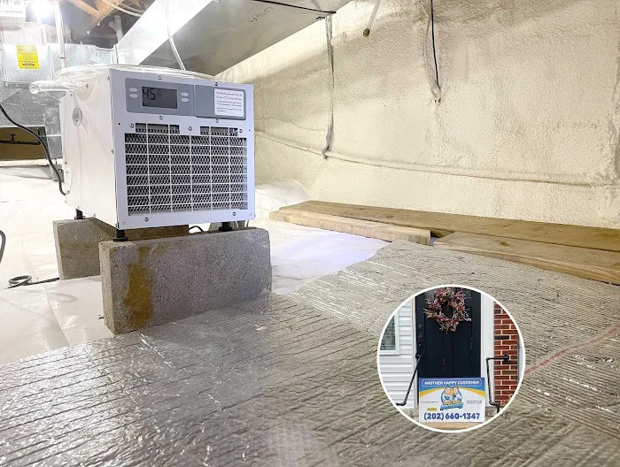 Crawl Space Brothers Picture 6