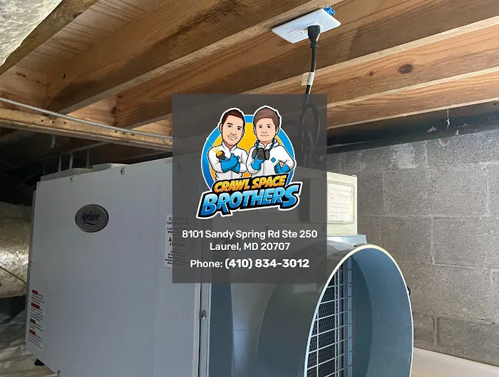 Crawl Space Brothers Picture 3