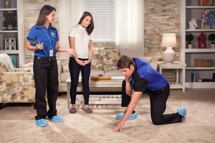 1-800 Water Damage of Greater Anne Arundel County Picture 4