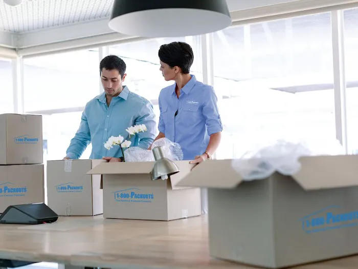 1800 Packouts of DMV Picture 2