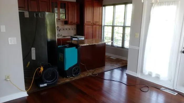 ServiceMaster by America's Restoration Services, LLC Picture 5