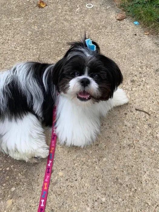 ServiceMaster by America's Restoration Services, LLC Picture 1