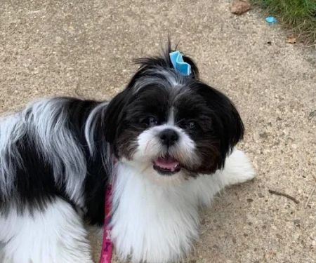 ServiceMaster by America's Restoration Services, LLC