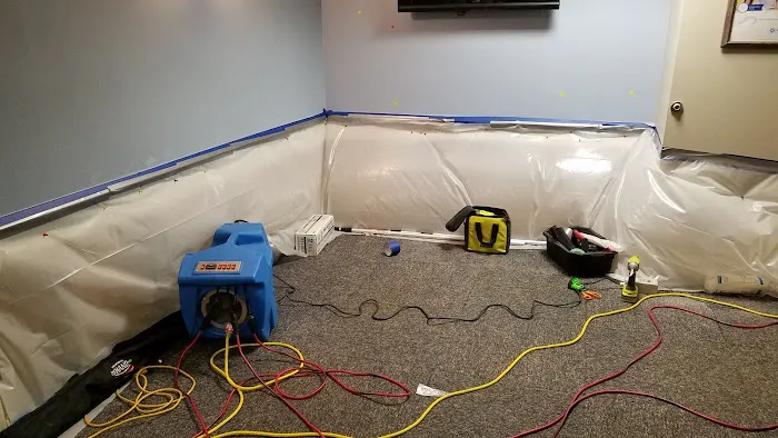 My Carpet Cleaning & Restoration Service Picture 7