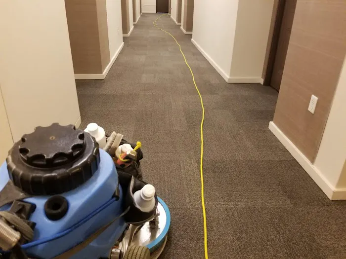 My Carpet Cleaning & Restoration Service Picture 2