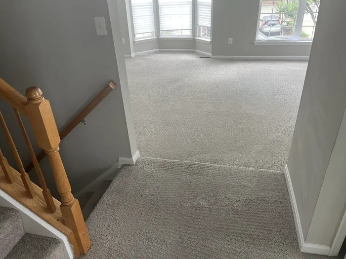 My Carpet Cleaning & Restoration Service Picture 1
