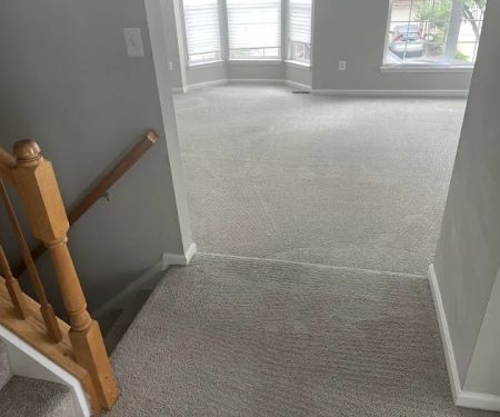 My Carpet Cleaning & Restoration Service