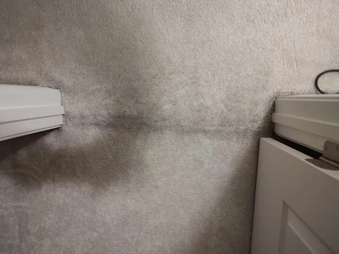 Stanley Steemer Picture 7