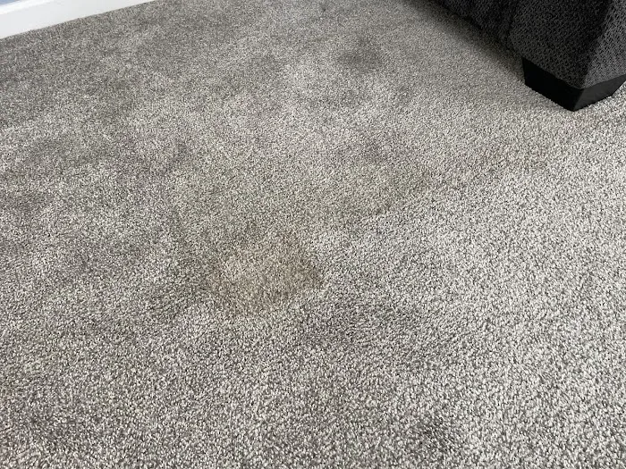 Stanley Steemer Picture 8