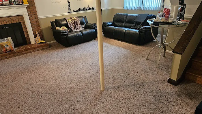 Stanley Steemer Picture 2