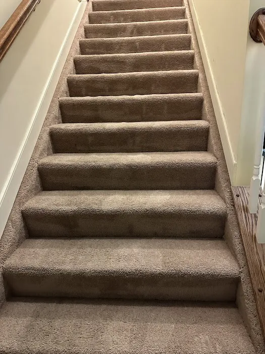 Stanley Steemer Picture 3