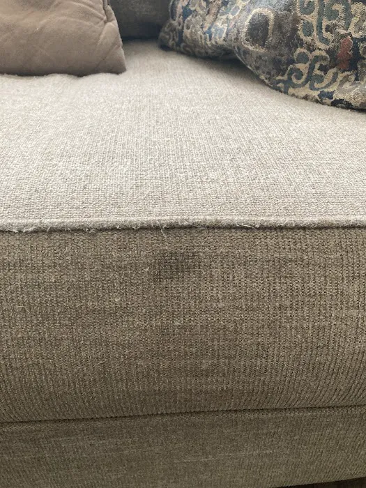 Stanley Steemer Picture 10