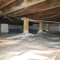 Adam Basement Waterproofing ico