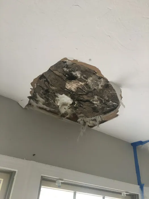 D.j.'s Cleaning and Restoration Services Picture 5