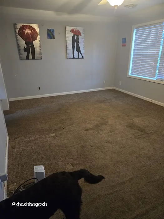 Stanley Steemer Picture 1